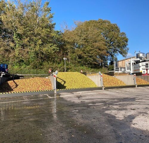 Cornish Orchards, Cornwall flood protection